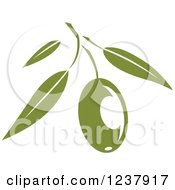 Green Branch With An Olive