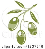 Poster, Art Print Of Green Branch With Olives