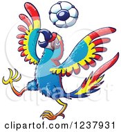 Poster, Art Print Of Macaw Parrot Playing Soccer