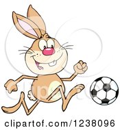 Poster, Art Print Of Brown Rabbit Playing Soccer