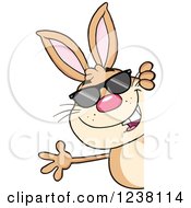 Poster, Art Print Of Brown Rabbit With Sunglasses Waving Around A Sign