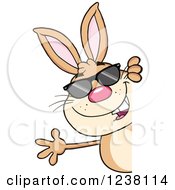 Clipart Of A Brown Rabbit With Sunglasses Waving Around A Sign Royalty Free Vector Illustration