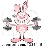 Poster, Art Print Of Pink Rabbit Working Out With Dumbbells