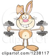 Poster, Art Print Of Brown Rabbit Working Out With Dumbbells