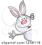 Poster, Art Print Of Gray Rabbit Waving Around A Sign