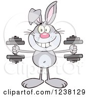 Poster, Art Print Of Gray Rabbit Working Out With Dumbbells