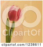 Poster, Art Print Of Tulip Flower Over Textured Paper And Faint Flowers