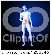 Clipart Of A 3d Medical Man Model With Red Stomach Pain Over Blue Royalty Free Illustration