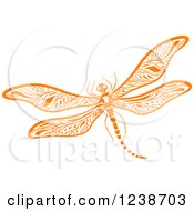 Poster, Art Print Of Orange Dragonfly