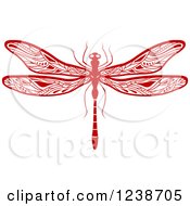 Poster, Art Print Of Red Dragonfly