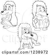 Clipart Of Black And White Hedgehogs Royalty Free Vector Illustration