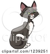 Clipart Of A Happy Female Tuxedo Cat Sitting Royalty Free Vector Illustration
