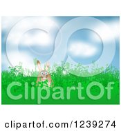 Clipart Of A Happy Brown Easter Bunny In Grass Against A Sunny Sky Royalty Free Vector Illustration