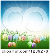 Poster, Art Print Of Colorful Easter Eggs In Grass Against A Sun Burst