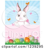 Poster, Art Print Of Cute White Easter Bunny Pointing Down To A Sign Over Eggs And Sunshine