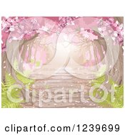 Poster, Art Print Of Canopy Of Pink Spring Blossoms Over A Stone Path With Ferns