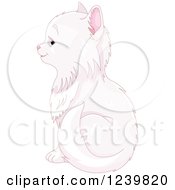 Cute Long Haired White Cat Sitting In Profile