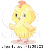 Cute Chubby Easter Chick Presenting