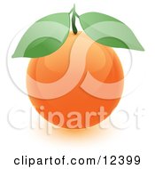 Poster, Art Print Of Round Orange Fruit With Two Green Leaves