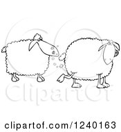 Poster, Art Print Of Black And White Sheep Farting In Anothers Face