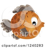 Poster, Art Print Of Brown Blowfish