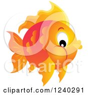Chubby Orange Fish