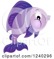 Poster, Art Print Of Purple Fish