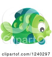 Poster, Art Print Of Green Fish