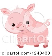 Poster, Art Print Of Cute Farm Animal Pig