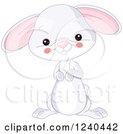 Poster, Art Print Of Cute Farm Animal Bunny Rabbit