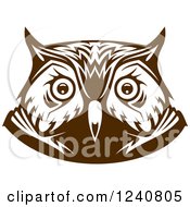 Poster, Art Print Of Brown Owl Face 4