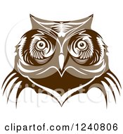 Poster, Art Print Of Brown Owl Face 5