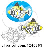 Poster, Art Print Of Black And White And Colored Clown Triggerfish