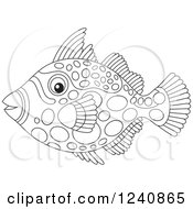 Poster, Art Print Of Black And White Clown Triggerfish