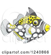 Poster, Art Print Of Clown Triggerfish