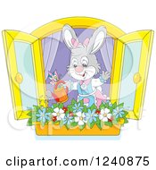 Poster, Art Print Of Gray Female Bunny Rabbit Watering A Window Flower Garden