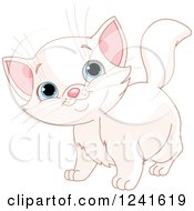 Poster, Art Print Of Cute Blue Eyed White Cat Smiling