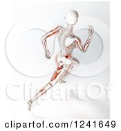 Clipart Of A 3d Female Runner With Visible Skeleton And Muscle Royalty Free Illustration