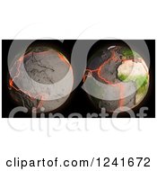 Clipart Of A 3d Model Of Earths Fault Lines And Tectonic Plates Royalty Free Illustration by Mopic
