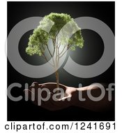 Poster, Art Print Of 3d Human Hand Holding A Tree