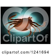 Clipart Of A 3d Lyme Disease Deer Tick Over Light Royalty Free Illustration by Mopic