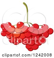 Poster, Art Print Of Bunch Of Cranberries