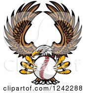 Fierce Bald Eagle Flying With A Baseball In Its Talons