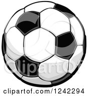 Poster, Art Print Of Black And White Soccer Ball