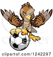 Poster, Art Print Of Brown Falcon Sports Mascot With A Soccer Ball