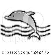 Poster, Art Print Of Silver Leaping Dolphin And Waves