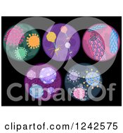Clipart Of Microscopic Views Of Viruses On Blac Royalty Free Vector Illustration