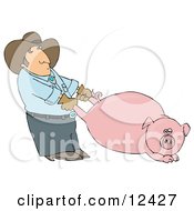 Farmer Man Pulling A Fat Pink Pig By The Hind Legs Clipart Picture