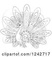 Clipart Of A Black And White Cute Peacock Bird With Fancy Plumage Royalty Free Vector Illustration