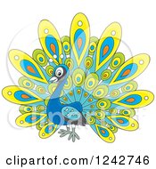 Poster, Art Print Of Cute Peacock Bird With Colorful Plumage